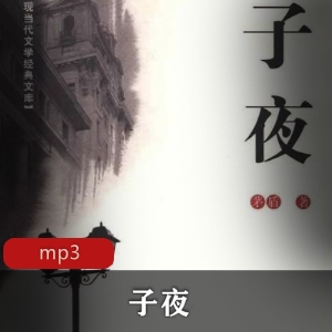 有声小说《子夜》演播：杨建松